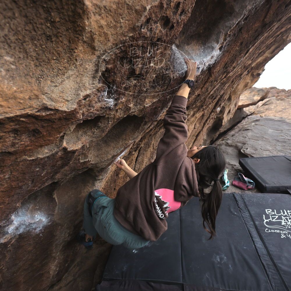 

Filename: SRM_20260207_1542291.jpg
Aperture: f/4.5
Shutter Speed: 1/400
Body: Canon EOS R6
Lens: Canon EF 16-35mm f/2.8 L