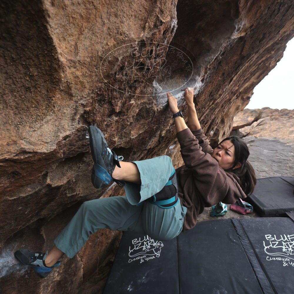 

Filename: SRM_20260207_1542360.jpg
Aperture: f/4.5
Shutter Speed: 1/400
Body: Canon EOS R6
Lens: Canon EF 16-35mm f/2.8 L