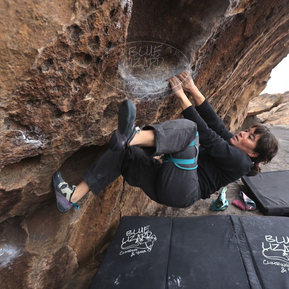 

Filename: SRM_20260207_1543530.jpg
Aperture: f/4.5
Shutter Speed: 1/400
Body: Canon EOS R6
Lens: Canon EF 16-35mm f/2.8 L