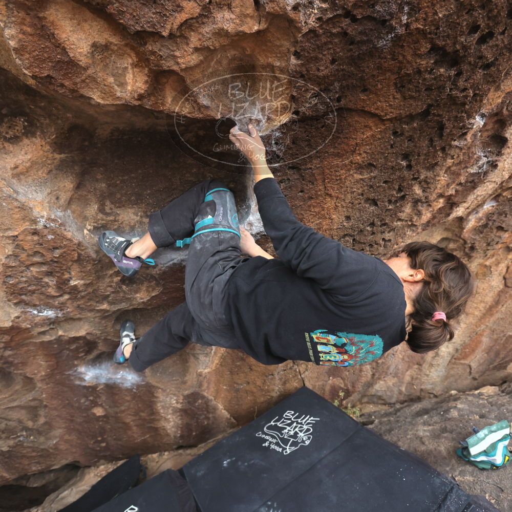 

Filename: SRM_20260207_1545350.jpg
Aperture: f/4.5
Shutter Speed: 1/400
Body: Canon EOS R6
Lens: Canon EF 16-35mm f/2.8 L