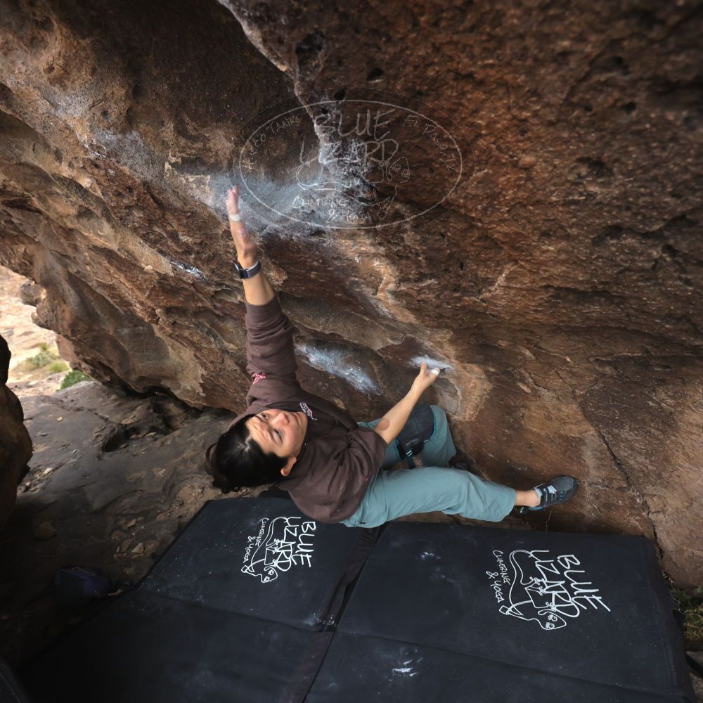 

Filename: SRM_20260207_1552430.jpg
Aperture: f/4.5
Shutter Speed: 1/400
Body: Canon EOS R6
Lens: Canon EF 16-35mm f/2.8 L