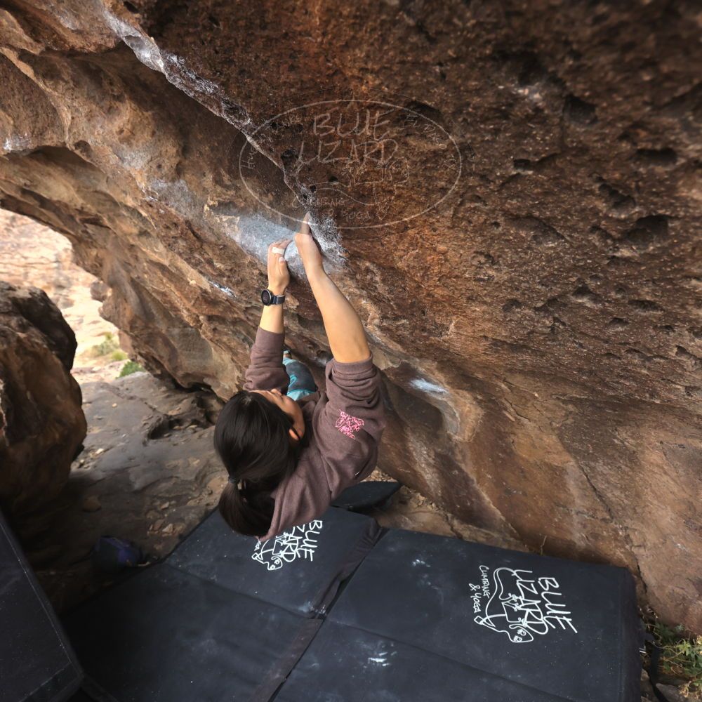 

Filename: SRM_20260207_1552470.jpg
Aperture: f/4.5
Shutter Speed: 1/400
Body: Canon EOS R6
Lens: Canon EF 16-35mm f/2.8 L