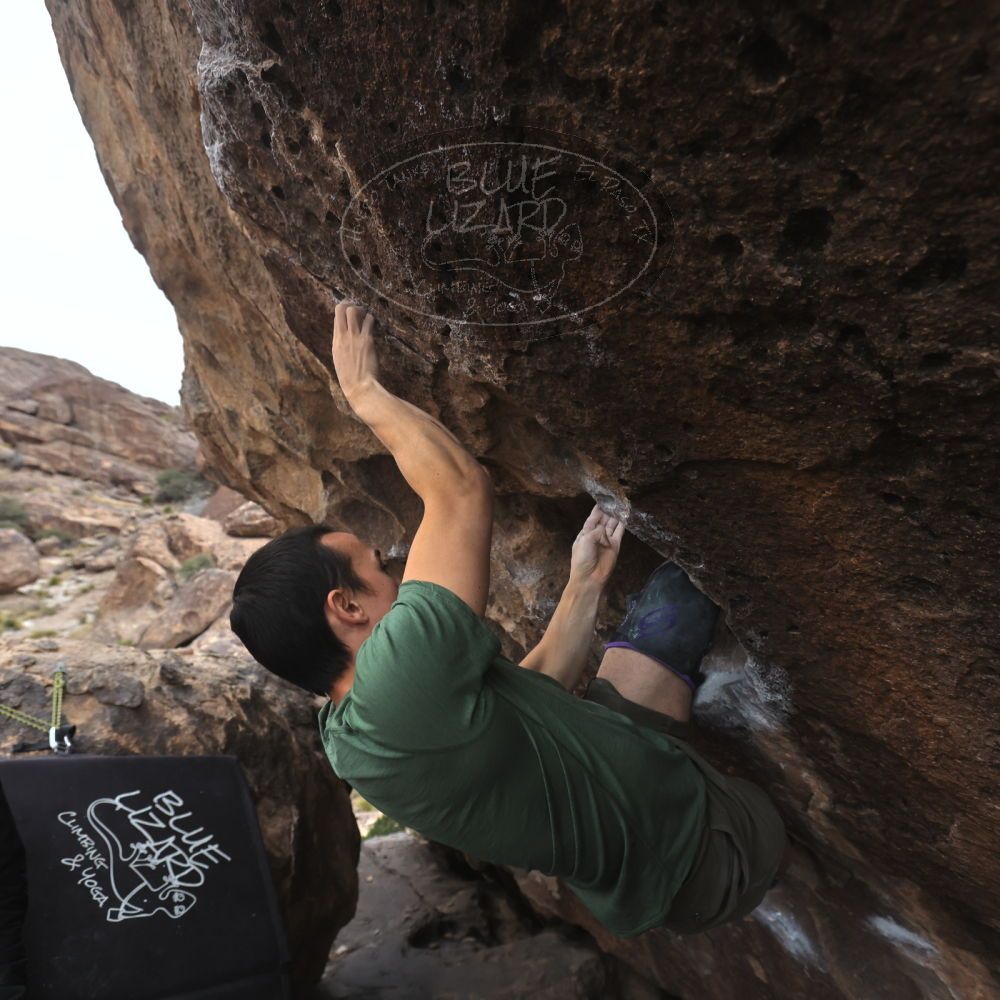 

Filename: SRM_20260207_1600030.jpg
Aperture: f/4.5
Shutter Speed: 1/400
Body: Canon EOS R6
Lens: Canon EF 16-35mm f/2.8 L