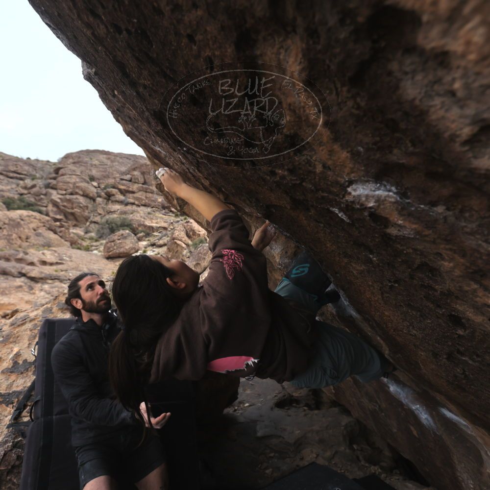 

Filename: SRM_20260207_1602050.jpg
Aperture: f/4.5
Shutter Speed: 1/400
Body: Canon EOS R6
Lens: Canon EF 16-35mm f/2.8 L