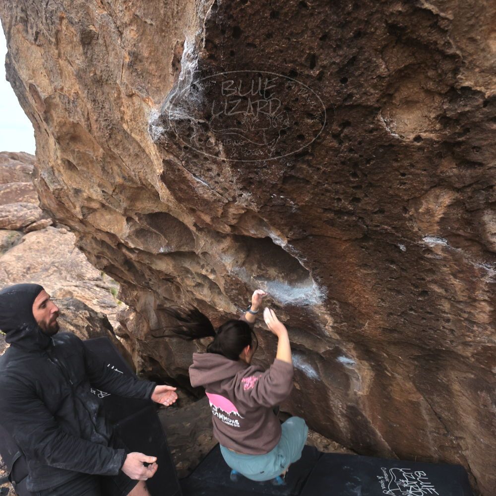 

Filename: SRM_20260207_1646250.jpg
Aperture: f/5.6
Shutter Speed: 1/400
Body: Canon EOS R6
Lens: Canon EF 16-35mm f/2.8 L