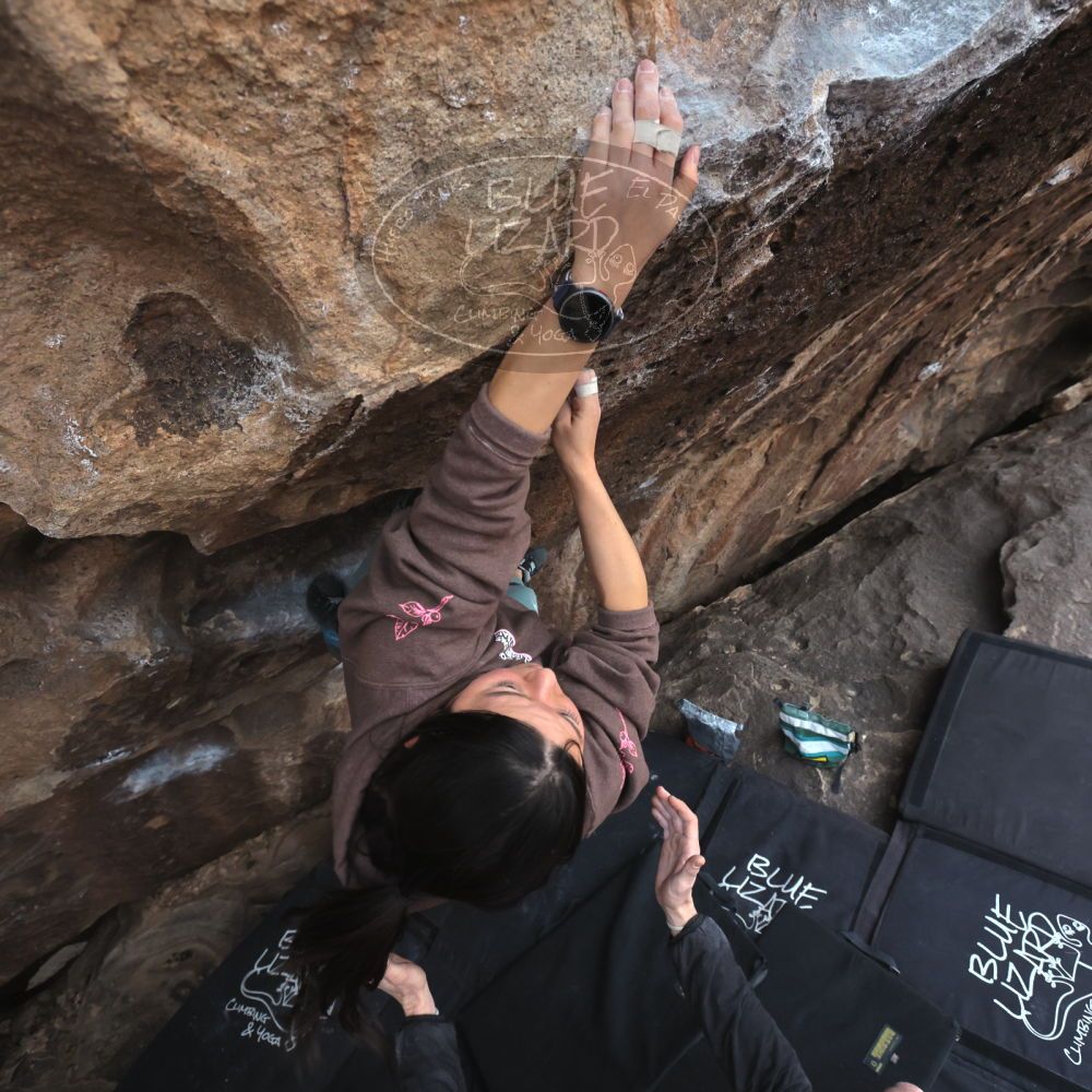 

Filename: SRM_20260207_1648460.jpg
Aperture: f/5.6
Shutter Speed: 1/400
Body: Canon EOS R6
Lens: Canon EF 16-35mm f/2.8 L