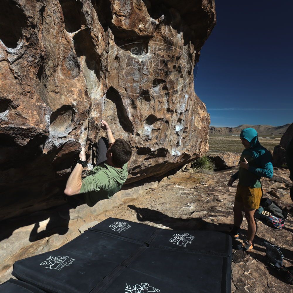 

Filename: SRM_20260208_1024580.jpg
Aperture: f/5.6
Shutter Speed: 1/1000
Body: Canon EOS R6
Lens: Canon EF 16-35mm f/2.8 L