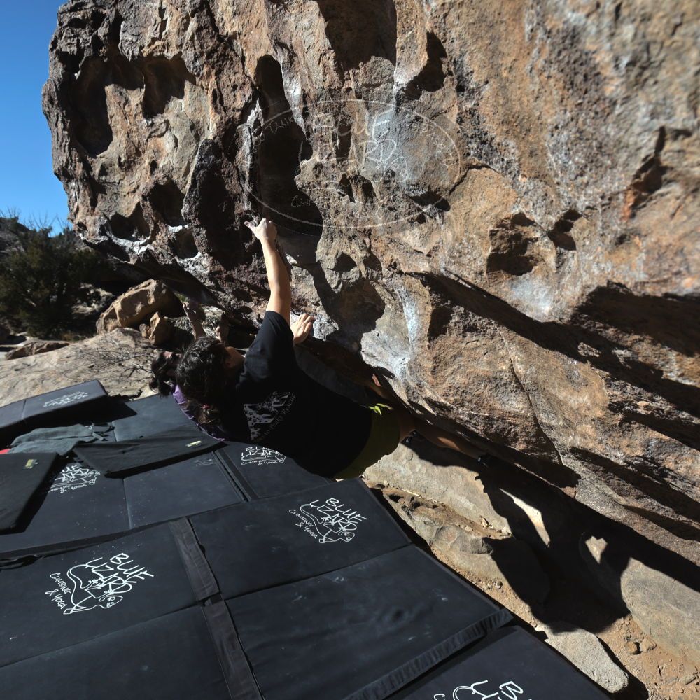 

Filename: SRM_20260208_1026470.jpg
Aperture: f/5.6
Shutter Speed: 1/1000
Body: Canon EOS R6
Lens: Canon EF 16-35mm f/2.8 L