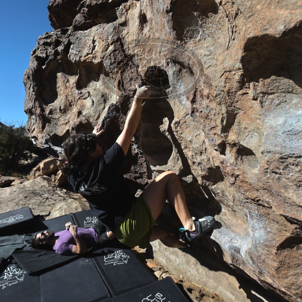 

Filename: SRM_20260208_1026530.jpg
Aperture: f/5.6
Shutter Speed: 1/1000
Body: Canon EOS R6
Lens: Canon EF 16-35mm f/2.8 L