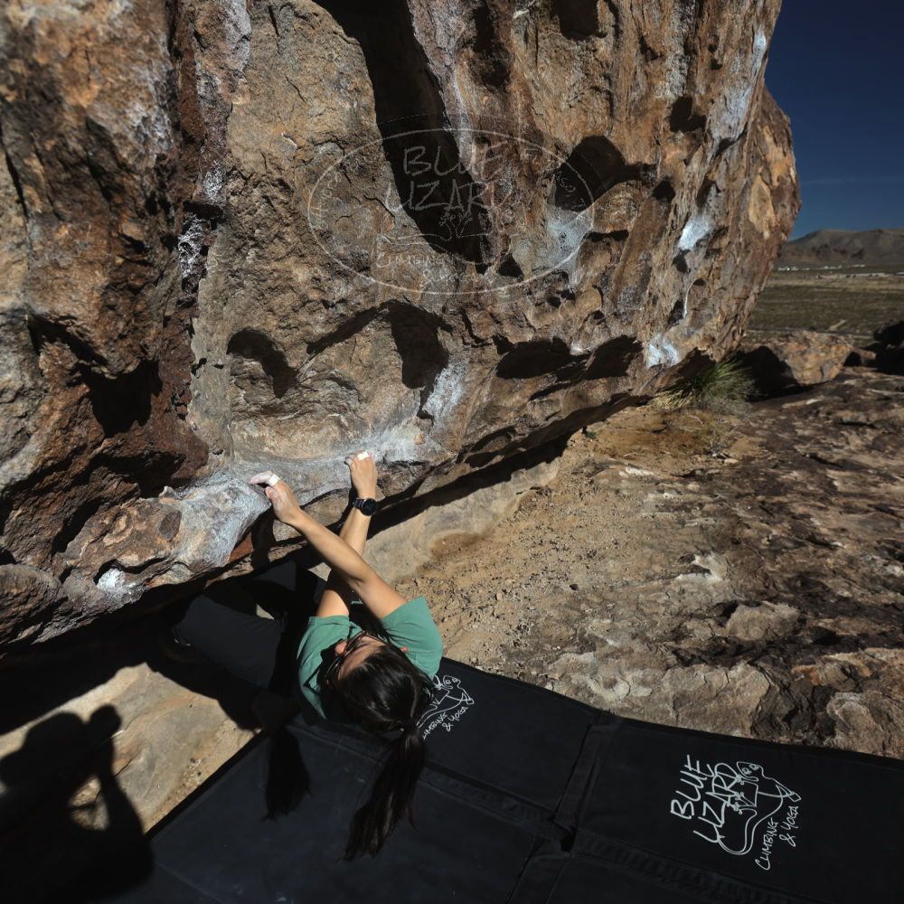 

Filename: SRM_20260208_1028010.jpg
Aperture: f/5.6
Shutter Speed: 1/1000
Body: Canon EOS R6
Lens: Canon EF 16-35mm f/2.8 L