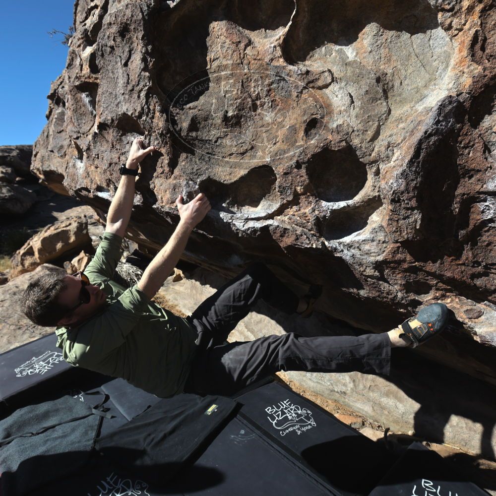 

Filename: SRM_20260208_1029300.jpg
Aperture: f/5.6
Shutter Speed: 1/1000
Body: Canon EOS R6
Lens: Canon EF 16-35mm f/2.8 L