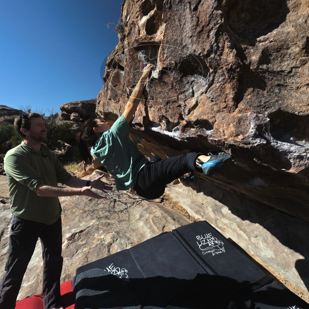 

Filename: SRM_20260208_1038220.jpg
Aperture: f/5.6
Shutter Speed: 1/1000
Body: Canon EOS R6
Lens: Canon EF 16-35mm f/2.8 L