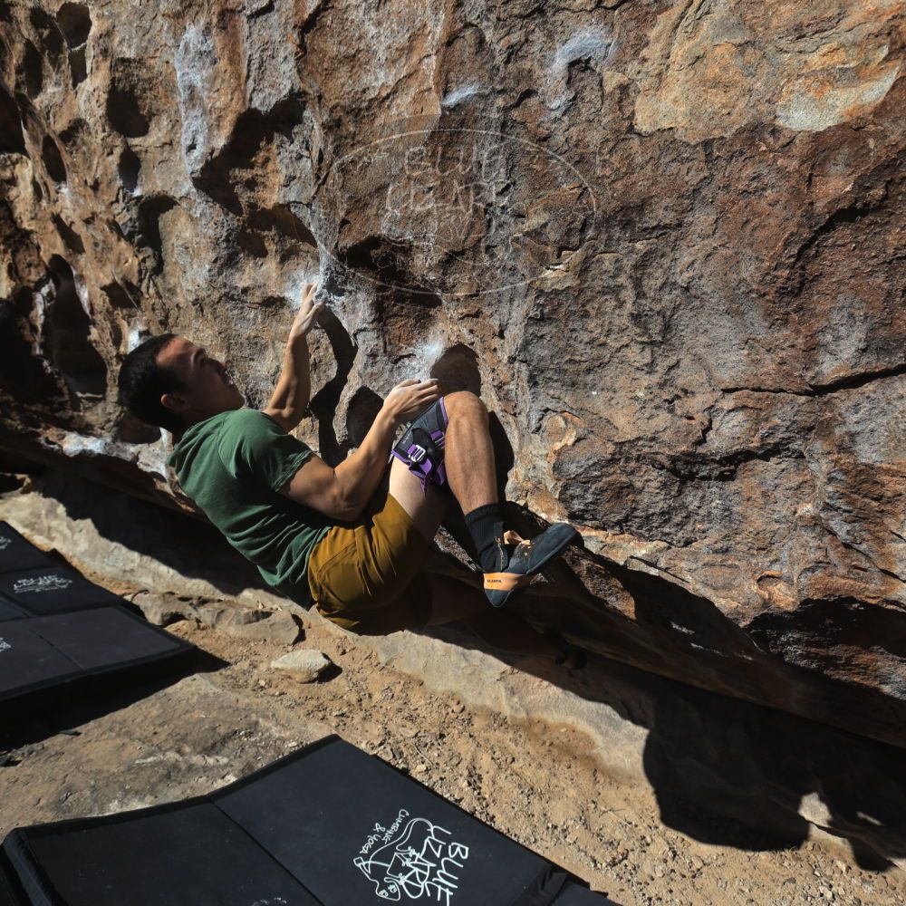 

Filename: SRM_20260208_1046010.jpg
Aperture: f/5.6
Shutter Speed: 1/1000
Body: Canon EOS R6
Lens: Canon EF 16-35mm f/2.8 L