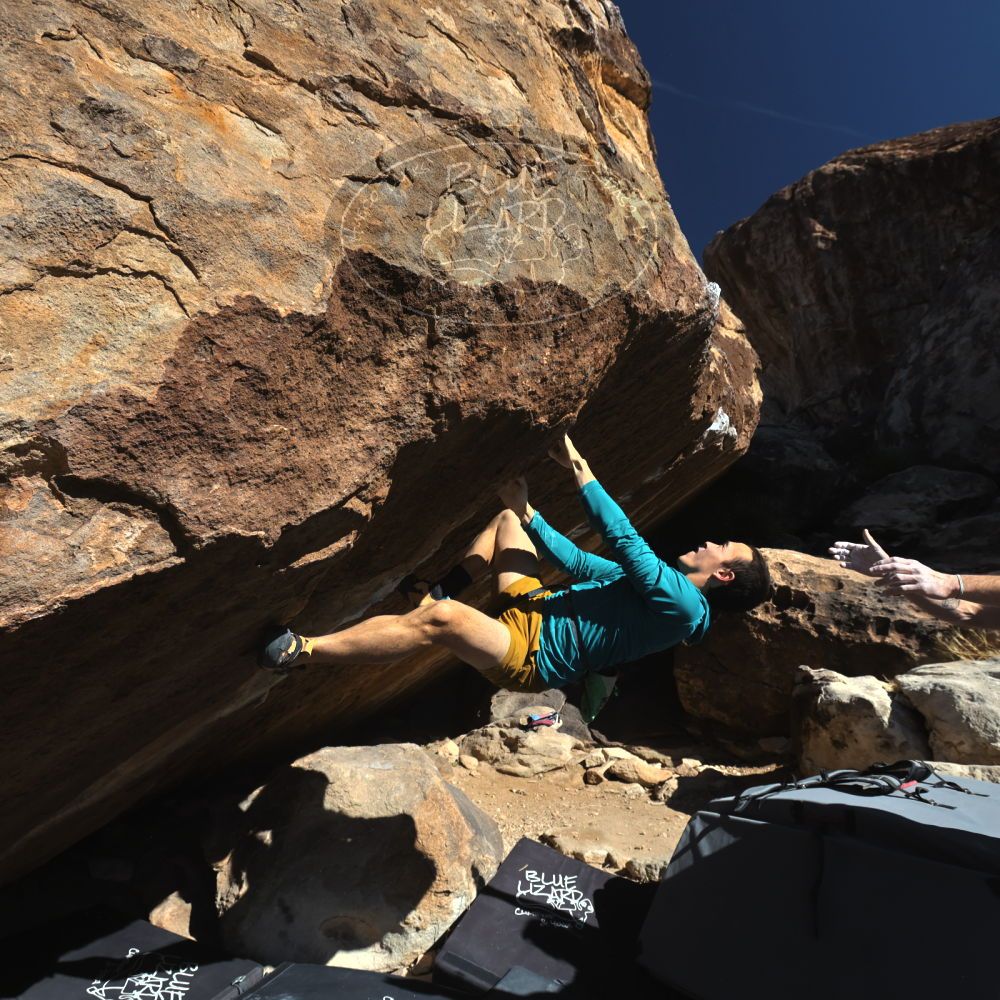 

Filename: SRM_20260208_1119320.jpg
Aperture: f/5.6
Shutter Speed: 1/1000
Body: Canon EOS R6
Lens: Canon EF 16-35mm f/2.8 L