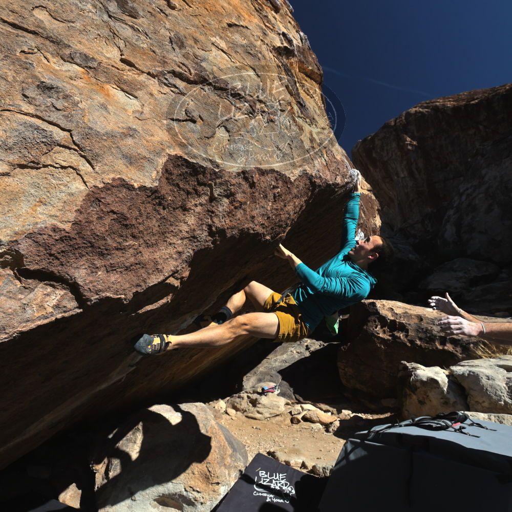 

Filename: SRM_20260208_1119330.jpg
Aperture: f/5.6
Shutter Speed: 1/1000
Body: Canon EOS R6
Lens: Canon EF 16-35mm f/2.8 L