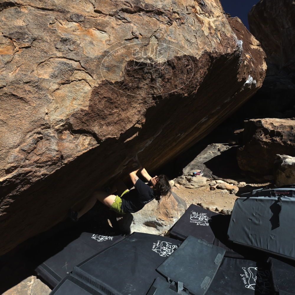 

Filename: SRM_20260208_1123540.jpg
Aperture: f/5.6
Shutter Speed: 1/1000
Body: Canon EOS R6
Lens: Canon EF 16-35mm f/2.8 L