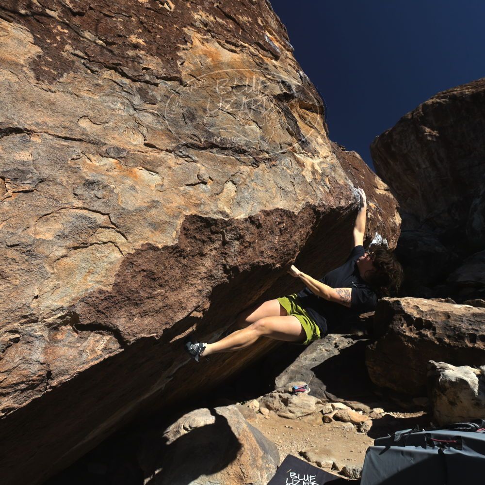 

Filename: SRM_20260208_1124060.jpg
Aperture: f/5.6
Shutter Speed: 1/1000
Body: Canon EOS R6
Lens: Canon EF 16-35mm f/2.8 L