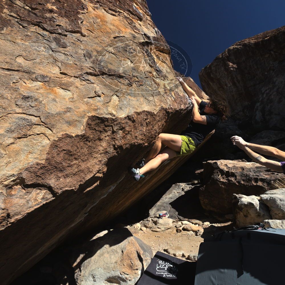 

Filename: SRM_20260208_1124200.jpg
Aperture: f/5.6
Shutter Speed: 1/1000
Body: Canon EOS R6
Lens: Canon EF 16-35mm f/2.8 L