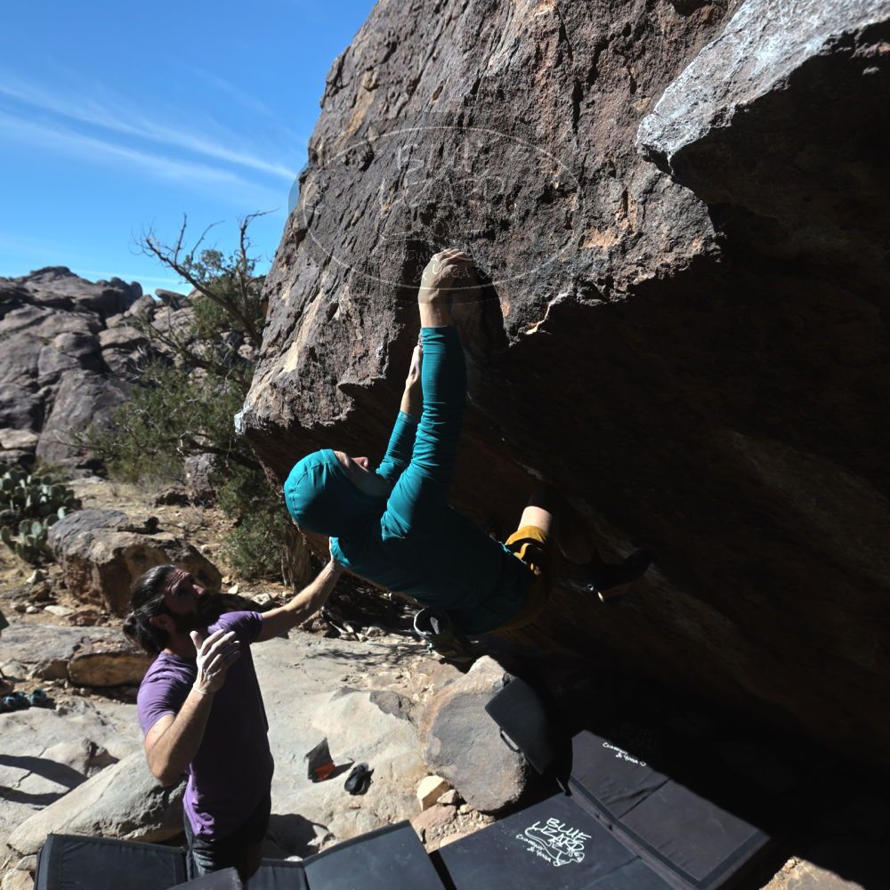 

Filename: SRM_20260208_1140450.jpg
Aperture: f/5.6
Shutter Speed: 1/1000
Body: Canon EOS R6
Lens: Canon EF 16-35mm f/2.8 L