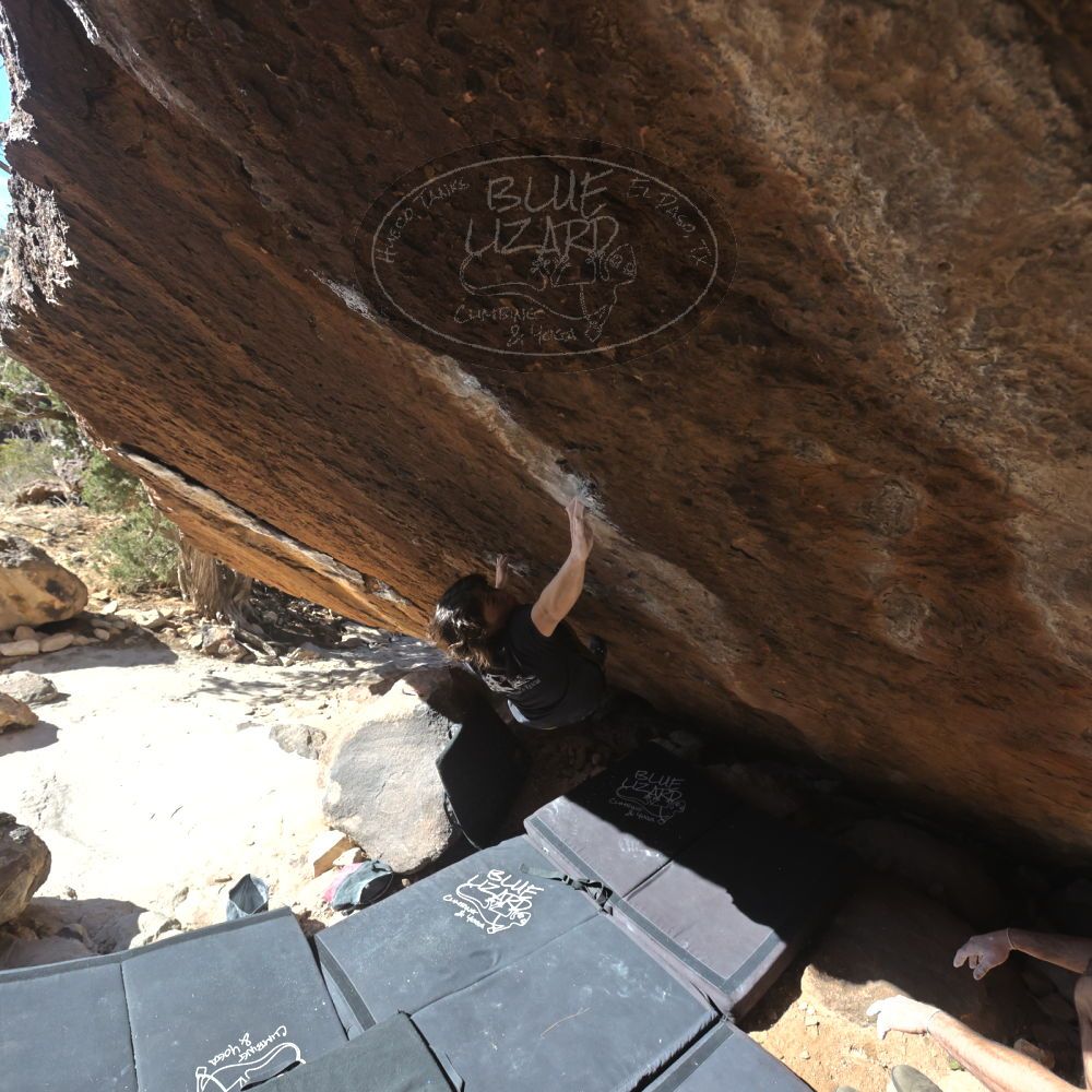 

Filename: SRM_20260208_1153520.jpg
Aperture: f/5.6
Shutter Speed: 1/1000
Body: Canon EOS R6
Lens: Canon EF 16-35mm f/2.8 L