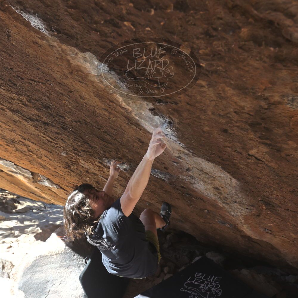 

Filename: SRM_20260208_1159471.jpg
Aperture: f/5.6
Shutter Speed: 1/1000
Body: Canon EOS R6
Lens: Canon EF 16-35mm f/2.8 L