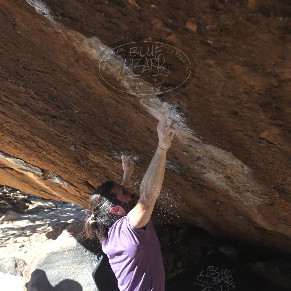 

Filename: SRM_20260208_1200521.jpg
Aperture: f/5.6
Shutter Speed: 1/1000
Body: Canon EOS R6
Lens: Canon EF 16-35mm f/2.8 L