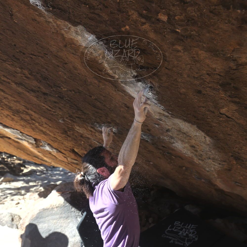 

Filename: SRM_20260208_1200522.jpg
Aperture: f/5.6
Shutter Speed: 1/1000
Body: Canon EOS R6
Lens: Canon EF 16-35mm f/2.8 L