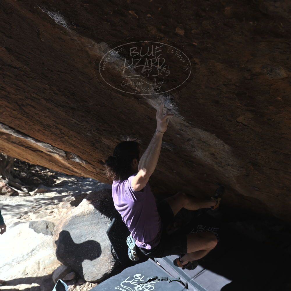 

Filename: SRM_20260208_1200530.jpg
Aperture: f/5.6
Shutter Speed: 1/1000
Body: Canon EOS R6
Lens: Canon EF 16-35mm f/2.8 L