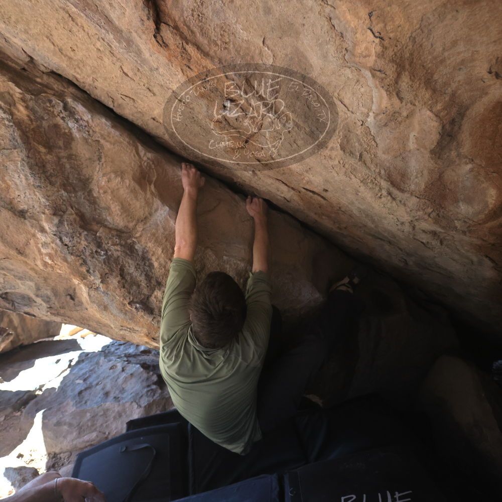 

Filename: SRM_20260208_1247230.jpg
Aperture: f/5.6
Shutter Speed: 1/1000
Body: Canon EOS R6
Lens: Canon EF 16-35mm f/2.8 L