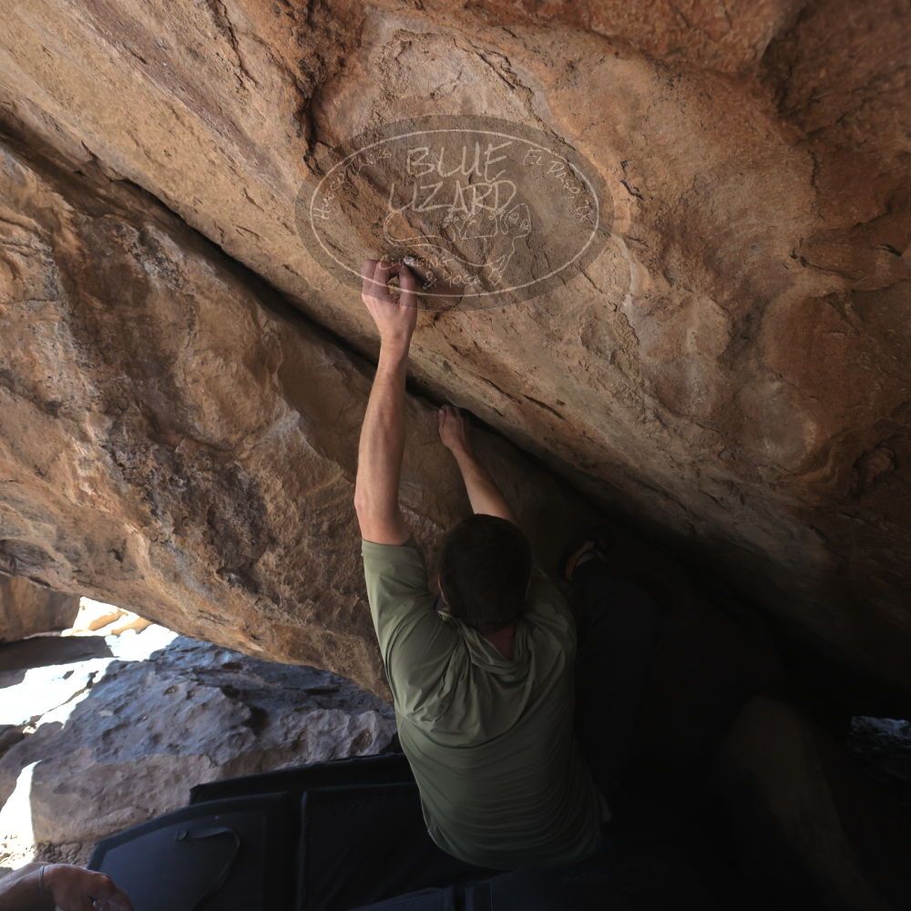 

Filename: SRM_20260208_1247270.jpg
Aperture: f/5.6
Shutter Speed: 1/400
Body: Canon EOS R6
Lens: Canon EF 16-35mm f/2.8 L