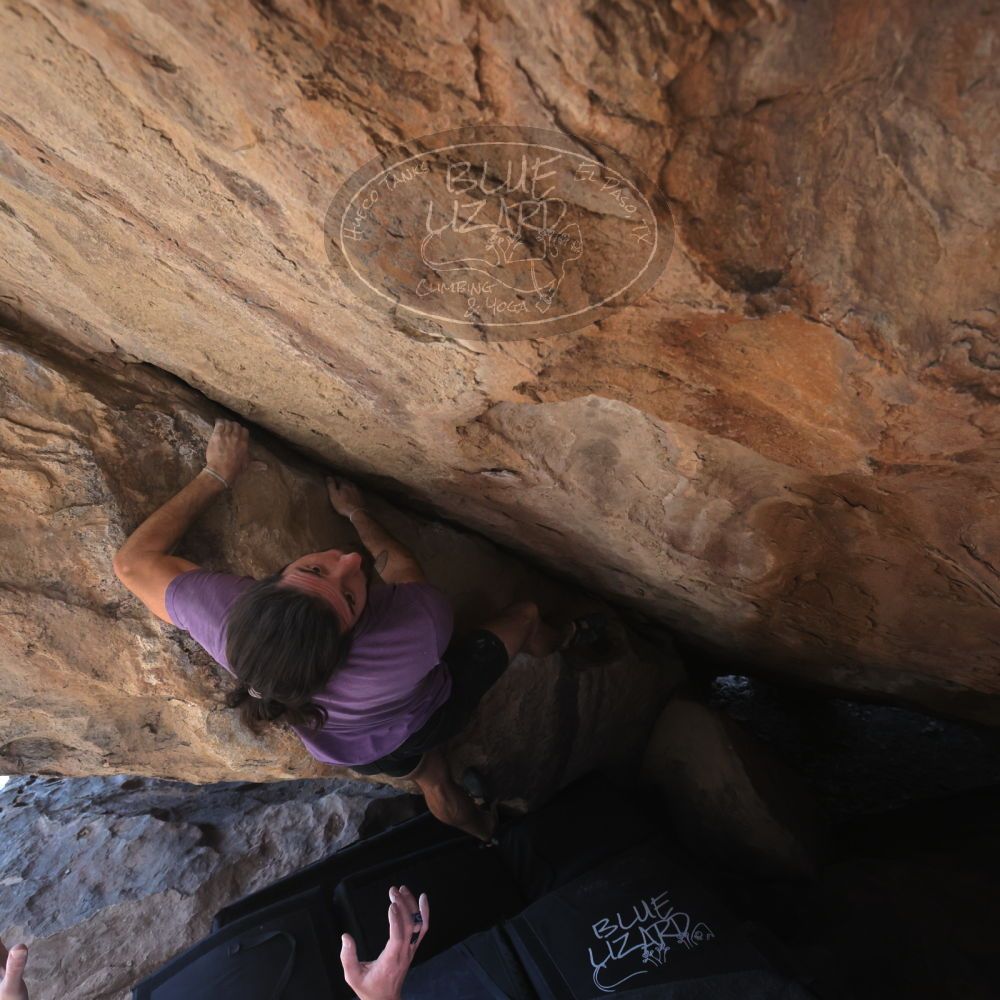 

Filename: SRM_20260208_1251390.jpg
Aperture: f/5.6
Shutter Speed: 1/400
Body: Canon EOS R6
Lens: Canon EF 16-35mm f/2.8 L