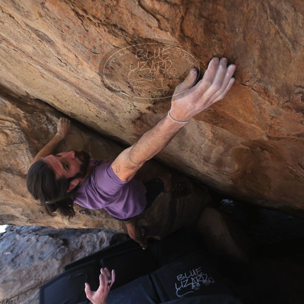 

Filename: SRM_20260208_1251391.jpg
Aperture: f/5.6
Shutter Speed: 1/400
Body: Canon EOS R6
Lens: Canon EF 16-35mm f/2.8 L