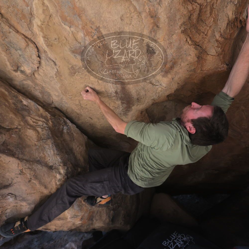 

Filename: SRM_20260208_1253551.jpg
Aperture: f/5.6
Shutter Speed: 1/400
Body: Canon EOS R6
Lens: Canon EF 16-35mm f/2.8 L