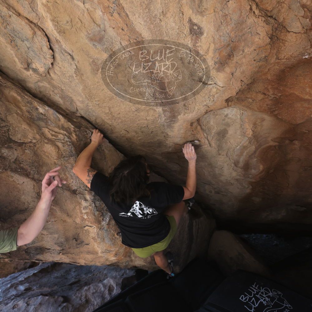 

Filename: SRM_20260208_1301310.jpg
Aperture: f/5.6
Shutter Speed: 1/400
Body: Canon EOS R6
Lens: Canon EF 16-35mm f/2.8 L