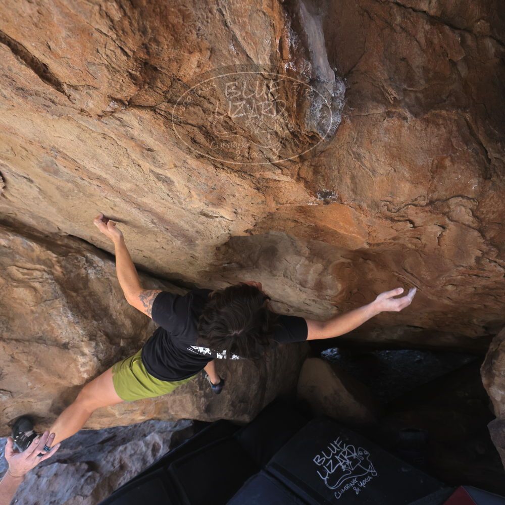 

Filename: SRM_20260208_1303050.jpg
Aperture: f/5.6
Shutter Speed: 1/400
Body: Canon EOS R6
Lens: Canon EF 16-35mm f/2.8 L