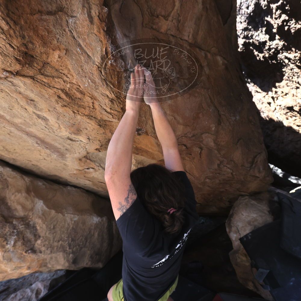 

Filename: SRM_20260208_1303160.jpg
Aperture: f/5.6
Shutter Speed: 1/400
Body: Canon EOS R6
Lens: Canon EF 16-35mm f/2.8 L