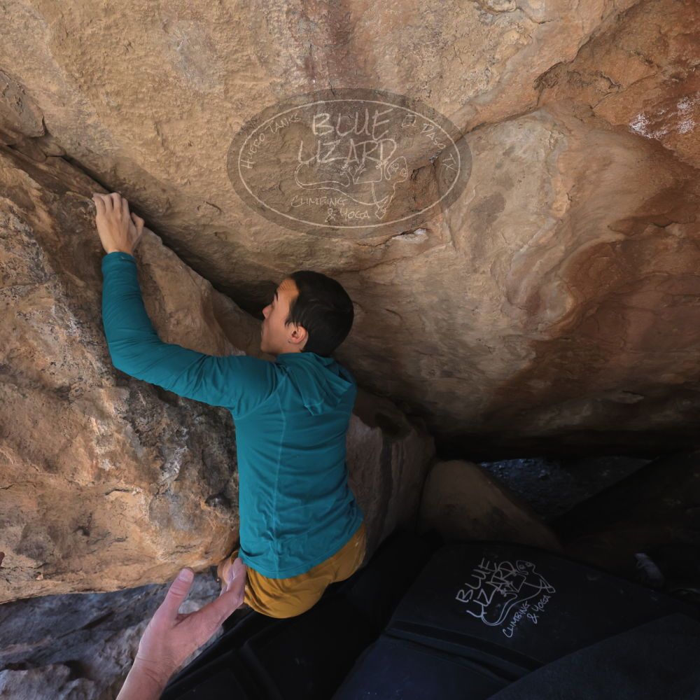 

Filename: SRM_20260208_1316330.jpg
Aperture: f/5.6
Shutter Speed: 1/400
Body: Canon EOS R6
Lens: Canon EF 16-35mm f/2.8 L