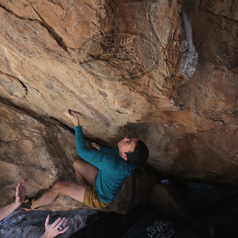 

Filename: SRM_20260208_1316500.jpg
Aperture: f/5.6
Shutter Speed: 1/400
Body: Canon EOS R6
Lens: Canon EF 16-35mm f/2.8 L