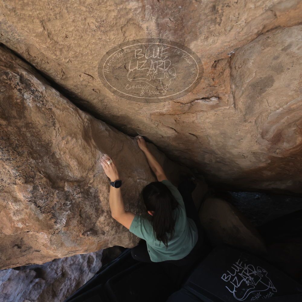 

Filename: SRM_20260208_1319460.jpg
Aperture: f/5.6
Shutter Speed: 1/400
Body: Canon EOS R6
Lens: Canon EF 16-35mm f/2.8 L