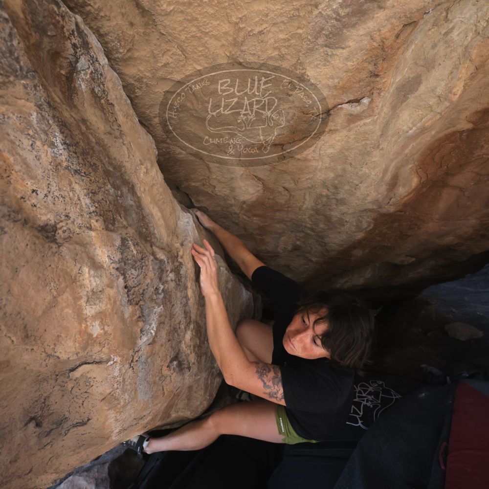 

Filename: SRM_20260208_1324141.jpg
Aperture: f/5.6
Shutter Speed: 1/400
Body: Canon EOS R6
Lens: Canon EF 16-35mm f/2.8 L