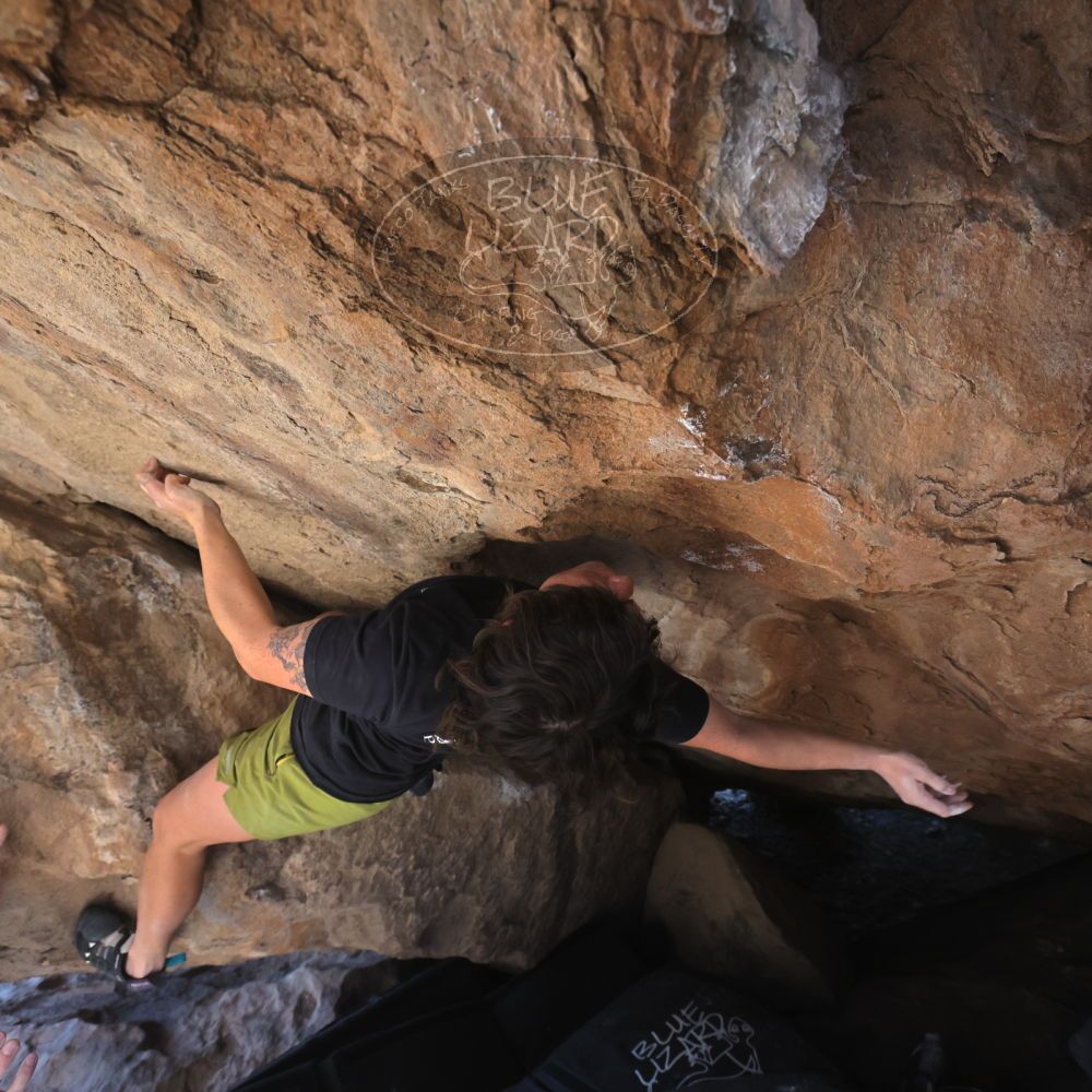 

Filename: SRM_20260208_1324290.jpg
Aperture: f/5.6
Shutter Speed: 1/400
Body: Canon EOS R6
Lens: Canon EF 16-35mm f/2.8 L