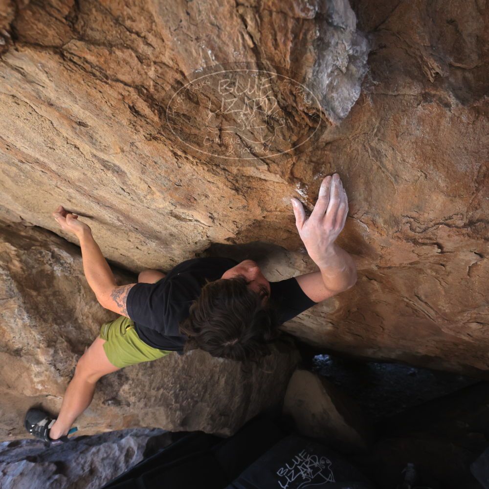 

Filename: SRM_20260208_1324291.jpg
Aperture: f/5.6
Shutter Speed: 1/400
Body: Canon EOS R6
Lens: Canon EF 16-35mm f/2.8 L