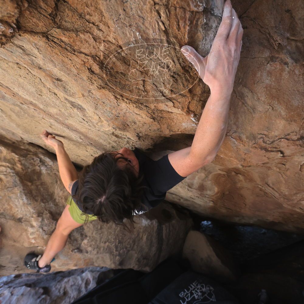 

Filename: SRM_20260208_1324300.jpg
Aperture: f/5.6
Shutter Speed: 1/400
Body: Canon EOS R6
Lens: Canon EF 16-35mm f/2.8 L