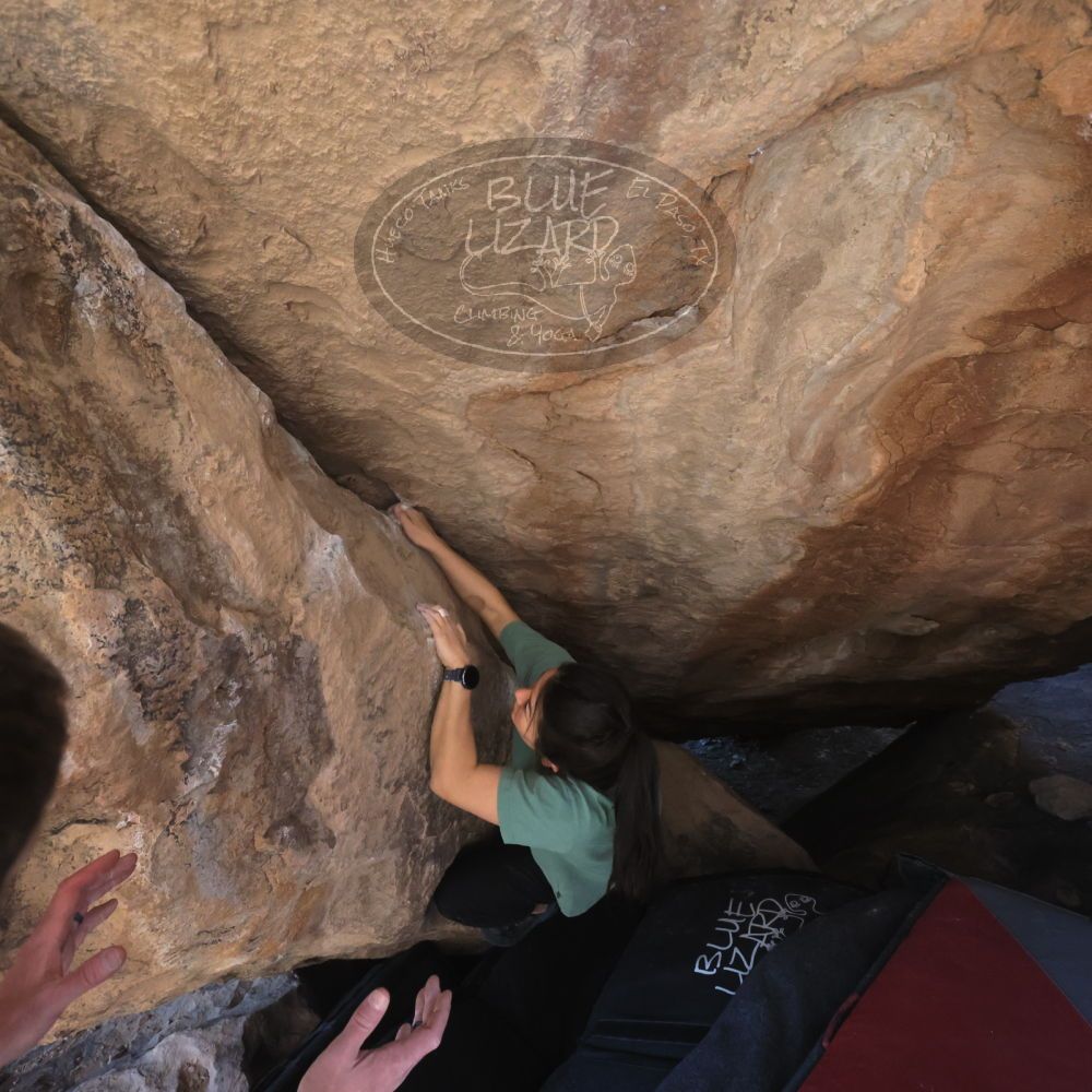 

Filename: SRM_20260208_1333180.jpg
Aperture: f/5.6
Shutter Speed: 1/640
Body: Canon EOS R6
Lens: Canon EF 16-35mm f/2.8 L