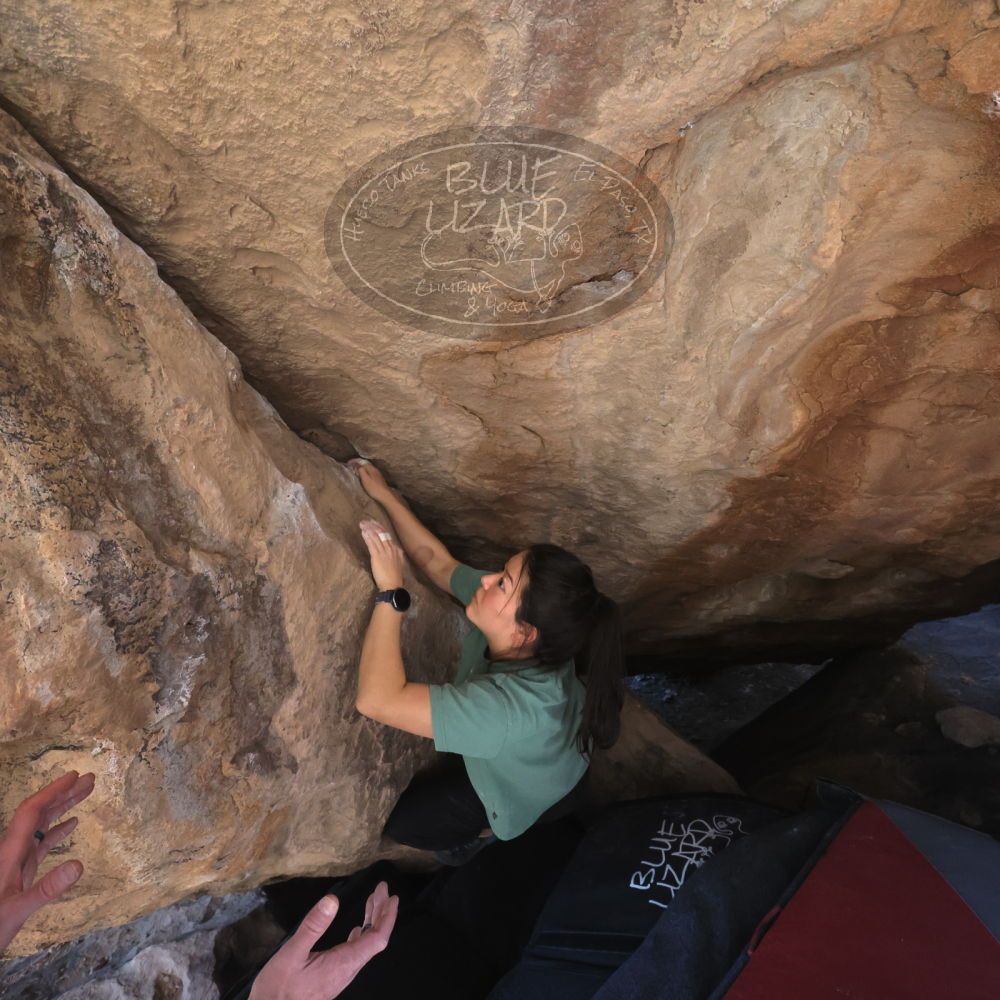 

Filename: SRM_20260208_1333181.jpg
Aperture: f/5.6
Shutter Speed: 1/640
Body: Canon EOS R6
Lens: Canon EF 16-35mm f/2.8 L