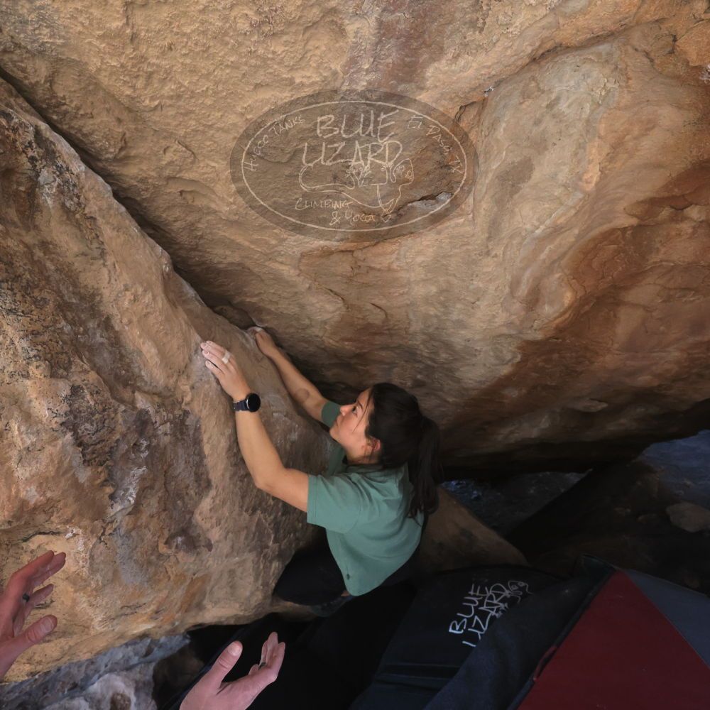 

Filename: SRM_20260208_1333182.jpg
Aperture: f/5.6
Shutter Speed: 1/640
Body: Canon EOS R6
Lens: Canon EF 16-35mm f/2.8 L