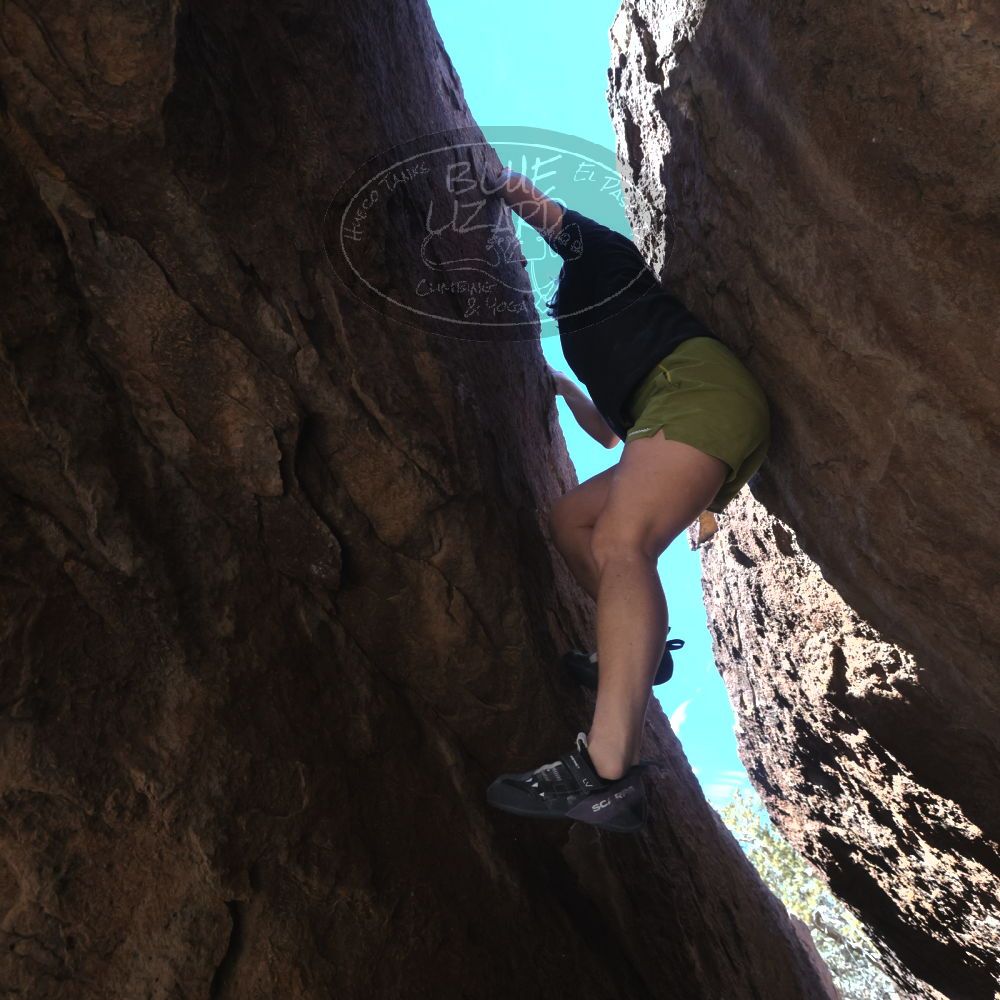 

Filename: SRM_20260208_1348271.jpg
Aperture: f/5.6
Shutter Speed: 1/640
Body: Canon EOS R6
Lens: Canon EF 16-35mm f/2.8 L