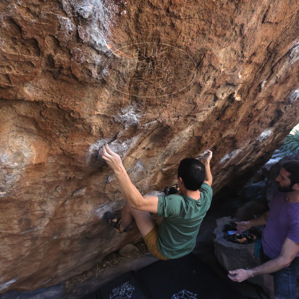 

Filename: SRM_20260208_1357000.jpg
Aperture: f/5.6
Shutter Speed: 1/640
Body: Canon EOS R6
Lens: Canon EF 16-35mm f/2.8 L