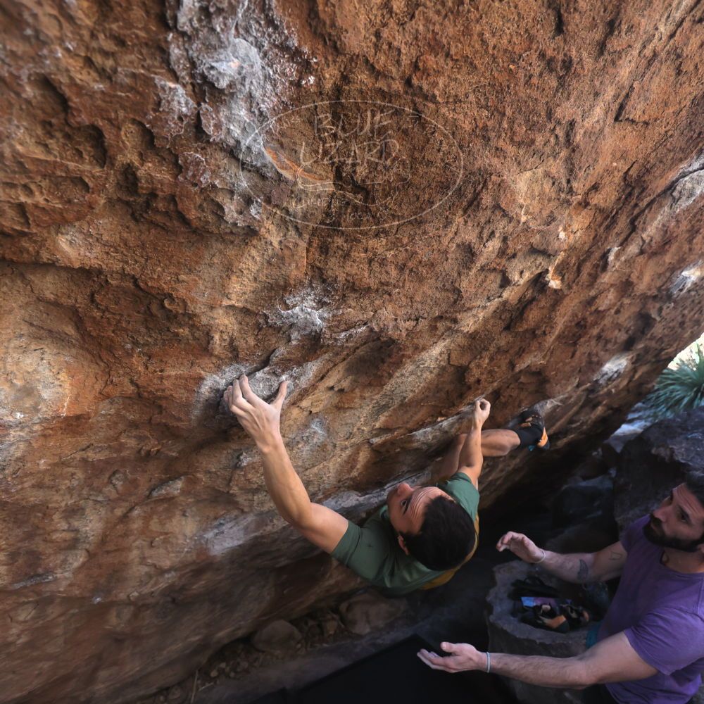 

Filename: SRM_20260208_1357070.jpg
Aperture: f/4.0
Shutter Speed: 1/400
Body: Canon EOS R6
Lens: Canon EF 16-35mm f/2.8 L