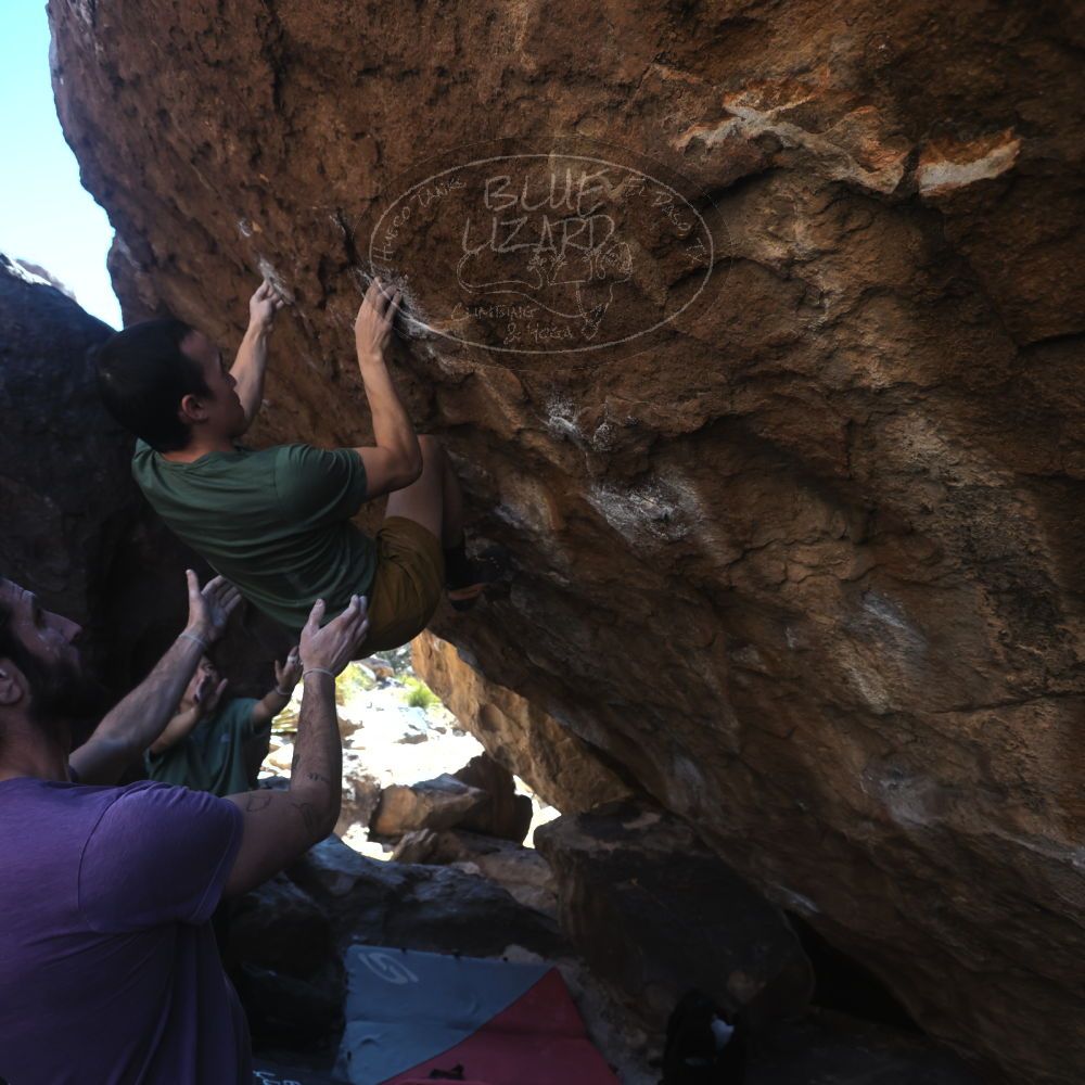 

Filename: SRM_20260208_1411020.jpg
Aperture: f/4.0
Shutter Speed: 1/400
Body: Canon EOS R6
Lens: Canon EF 16-35mm f/2.8 L